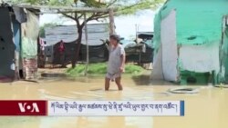 ཀོ་ལིམ་བྷི་ཡའི་རྒྱལ་མཚམས་སུ་ཝེ་ནི་ཛུ་ལའི་ཡུལ་གྱར་བ་ནག་འཚོང་།