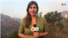 Video Front_ Pernalete