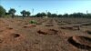 Morocco’s Government Partners with Civil Society Groups to Reforest the Land