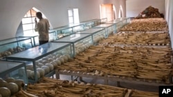 Rows of human skulls and bones form a memorial to those who died in the 1994 massacre in Rwanda. 