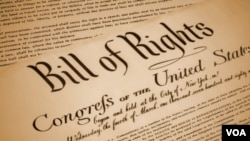 The Bill of Rights