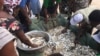La pêche artisanale à Libreville, au Gabon, le 30 janvier 2017. (VOA/Timothee Donangmaye)
