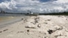 Scientists Developing New Ways to Fight 'Red Tide'