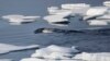 Worrisome Warming of North, South Poles