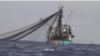 Fishing boat with net