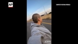 TikTok's Top Videos