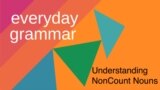 Understanding NonCount Nouns