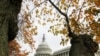 Secret to Avoiding Summer Crowds in Washington: Wait for Fall