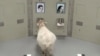 Sheep Can Recognize Human Faces