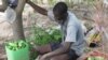 Farmers in the Senegalese village of Keur Madaro are producing more crops with the innovative Super Vegetable Garden program
