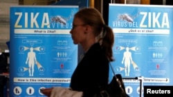 Material to prevent Zika infection by mosquitoes are displayed at the 69th World Health Assembly at the United Nations European headquarters in Geneva, Switzerland, May 23, 2016. (REUTERS/Denis Balibouse)