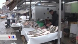 Raporta Ser Masîfiroşên Mûsilî