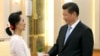 中国国家主席习近平在北京人民大会堂会见正在中国访问的缅甸反对党领袖昂山素季(2015年6月11日)