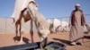 What Is the 'Straw That Broke the Camel's Back'?