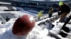 Super Bowl Sunday: Broncos Versus Seahawks