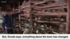  Traditional Potter Remembers Fukushima Disaster
