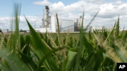 FILE - In this July 20, 2013, file photo, an ethanol plant stands next to a cornfield near Nevada, Iowa. Biden and the auto industry maintain the nation is moving to electric vehicles and away from liquid-fueled cars, but biofuels producers and supporters do not agree. (AP Photo)