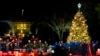 Christmas Tree Buyers Find Lower Supply, Higher Prices