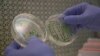 Gene-edited Food Will Arrive Soon, But Will People Eat It?