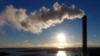 Finland Will Need to Import Biomass to Keep Warm