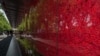 Wall of Flowers Honors True Meaning of Memorial Day 