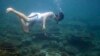 Quiz - Several Studies Show Oceans Face Serious Threats