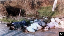 伊拉克对库尔德人进行的毒气攻击的受害者（1988资料照片）
