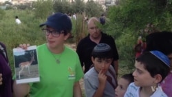 After Much Delay, Wildlife Park Opens in Jerusalem