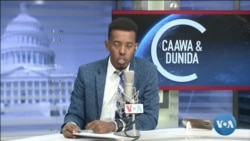 Caawa iyo Dunida